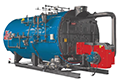 200 Horsepower (HP), 250 PSI Design Pressure, Low NOx, Skid-Mounted Firetube Boiler