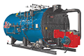 500 Horsepower (HP), 250 PSI Design Pressure, Low NOx, Skid-Mounted Firetube Boiler