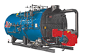 800 Horsepower (HP), 250 PSI Design Pressure, Low NOx, Skid-Mounted Firetube Boiler